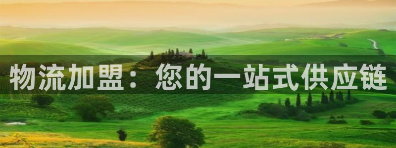 旺财28官方网站是多少：物流加盟：您