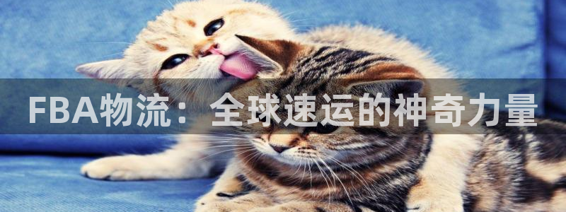 旺财28加拿大走势：FBA物流：全球