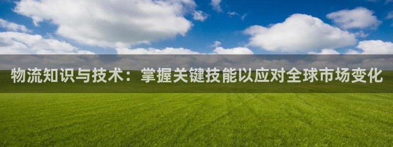 旺财28推广链接是多少个：物流知识与