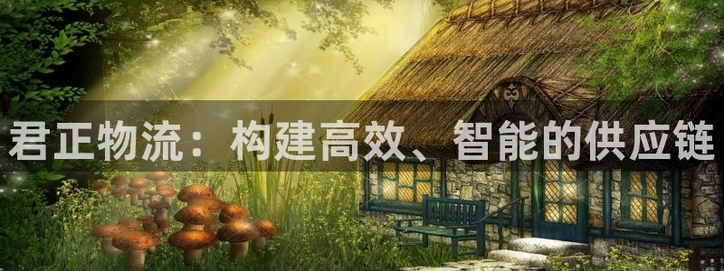 旺财28初始资金密码在哪里改：君正物