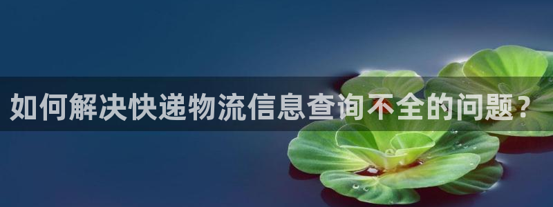 旺财28官网入口正版：如何解决快递物流信息查询不全的问题？