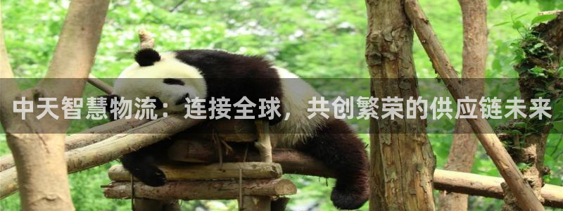 南宫旺财28官网：中天智慧物流：连接
