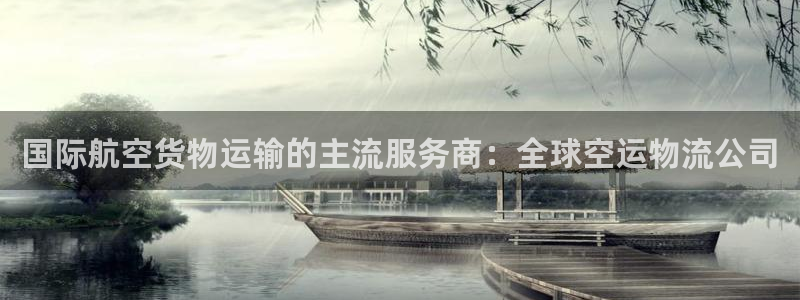 旺财28反水：国际航空货物运输的主流