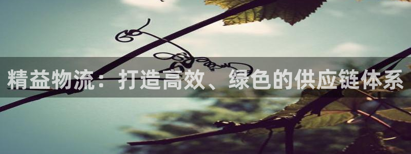 旺财28合法吗：精益物流：打造高效、绿色的供应链体系
