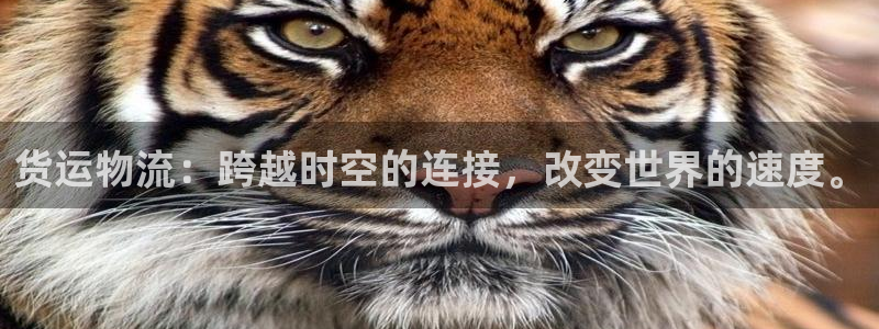 旺财28注册：货运物流：跨越时空的连