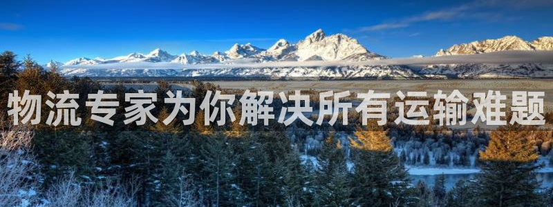 旺财28如何看012路计划：物流专家