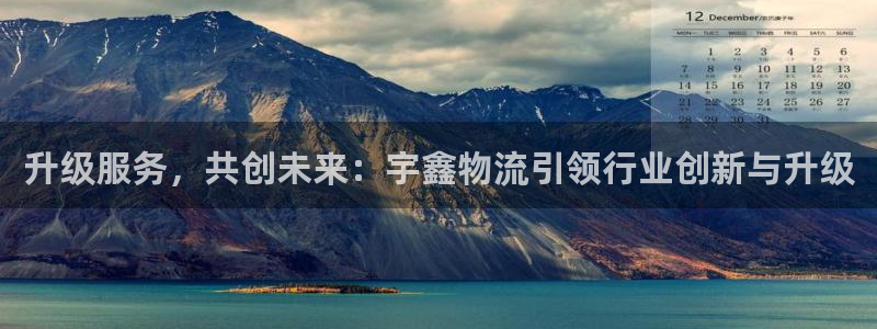 旺财28模拟：升级服务，共创未来：宇