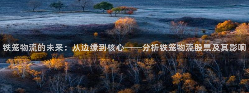 旺财28注册入口与教程：铁笼物流的未