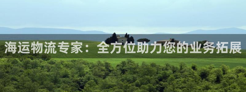 旺财28平台注册：海运物流专家：全方位助力您的业务拓展