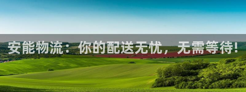 旺财28充值为什么充不了：安能物流：你的配送无忧，无需等待!