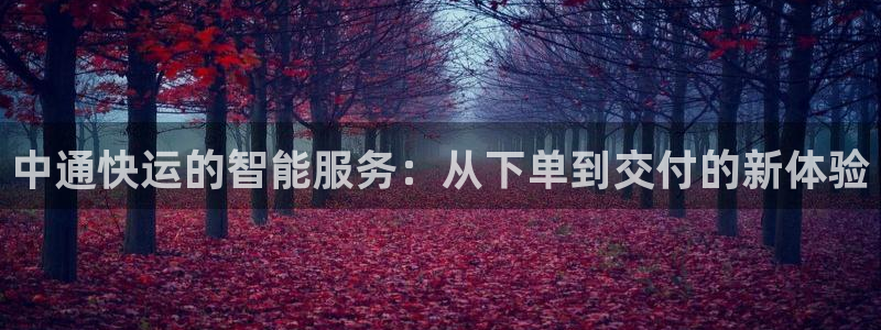 旺财28注册步骤：中通快运的智能服务