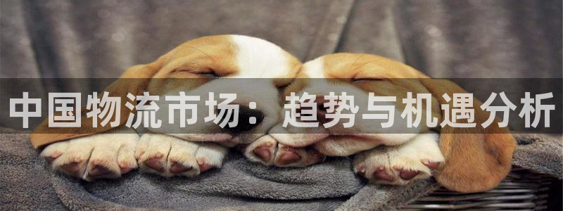 旺财28充值不到账什么原因:中国物流