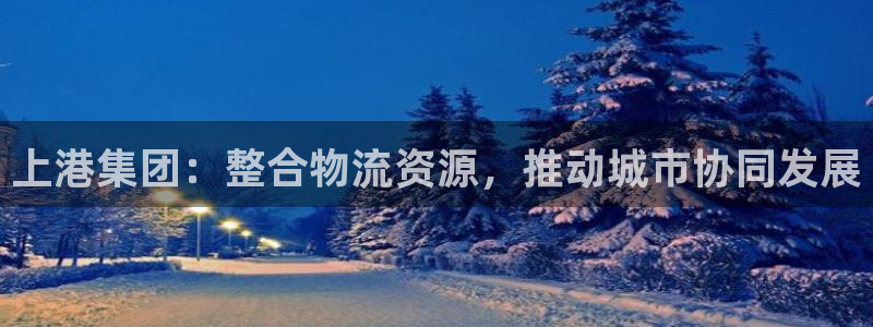 旺财28加拿大app预测