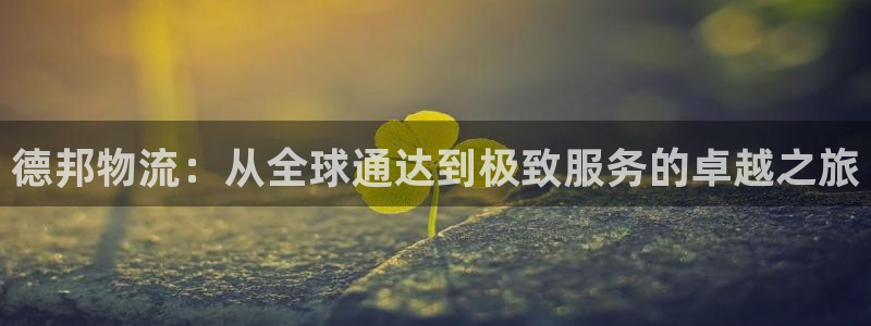 旺财28自行车图片大全：德邦物流：从