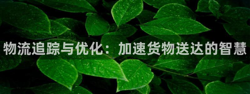 旺财28在线预测官网