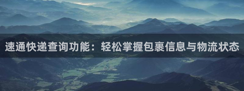 旺财28v6能卖多少：速通快递查询功