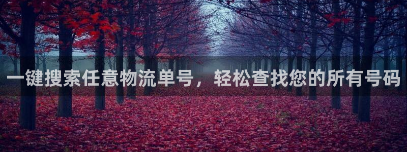 旺财28官网下载链接是什么：一键搜索