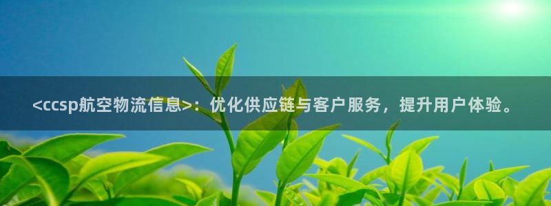 旺财28口内径是多大