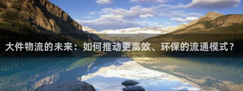 旺财28官网下载多少钱一个：大件物流的未来：如何推动更高效、
