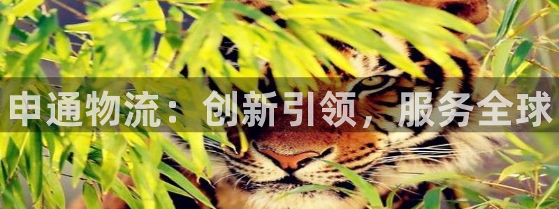 自行车旺财28是什么意思：申通物流：