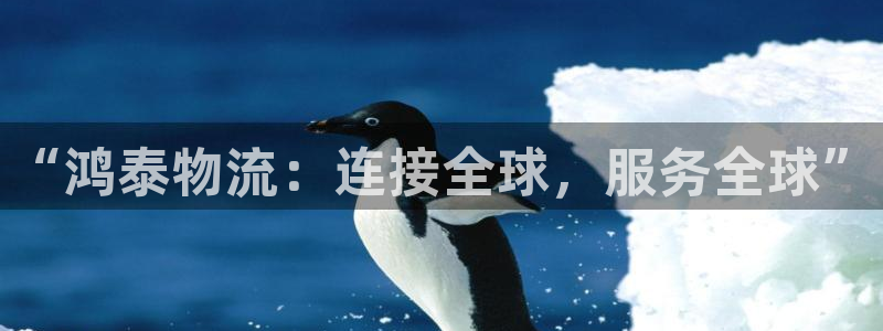 旺财28官网入口pc29官网版
