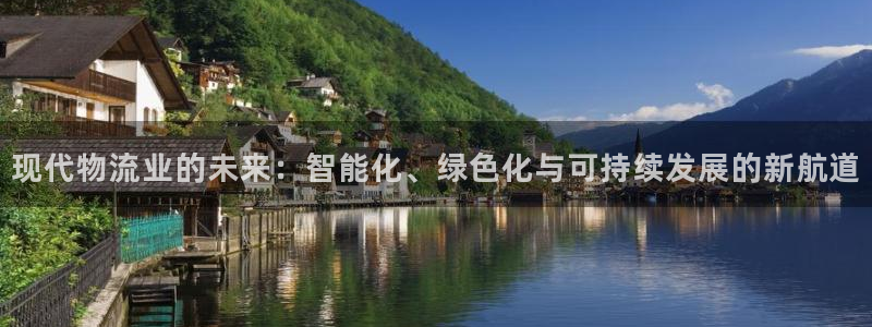 旺财28自行车图片：现代物流业的未来