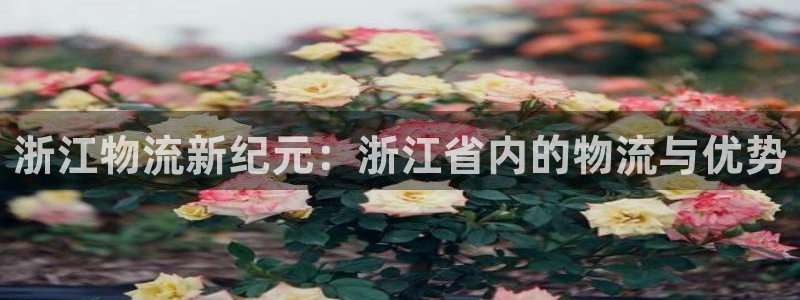 旺财28怎么注册账号：浙江物流新纪元