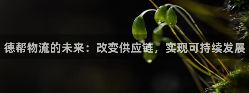 旺财28注册教程：德帮物流的未来：改