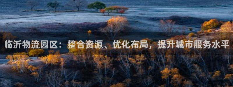 旺财28注册链接教程：临沂物流园区：