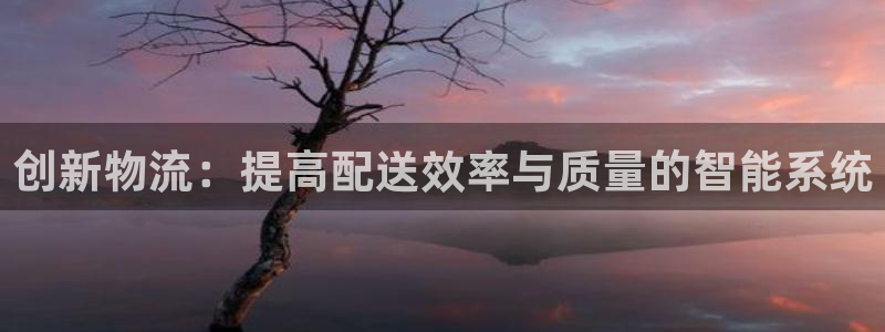 旺财28加拿大真假怎么看：创新物流：