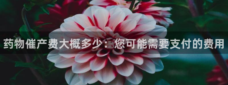 旺财28注册步骤：药物催产费大概多少