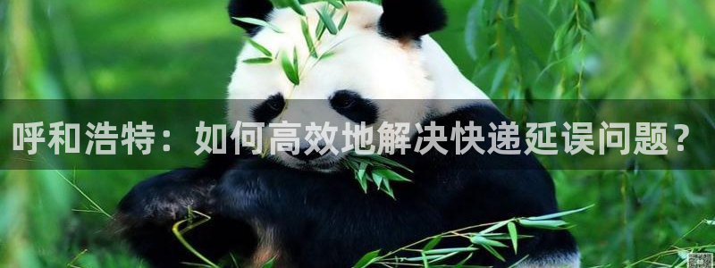 旺财28注册上限是啥意思：呼和浩特：
