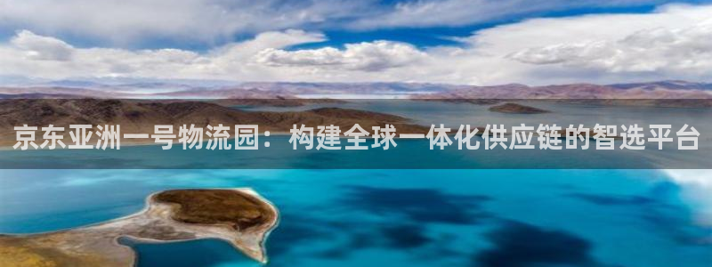 旺财28机器人是什么软件：京东亚洲一