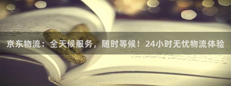 旺财28激活码：京东物流：全天候服务