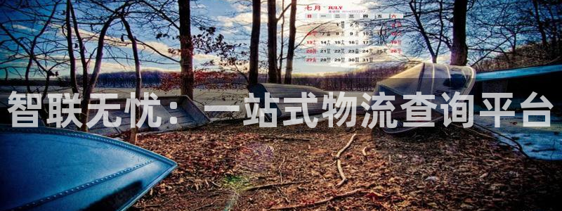 旺财28官网链接：智联无忧：一站式物
