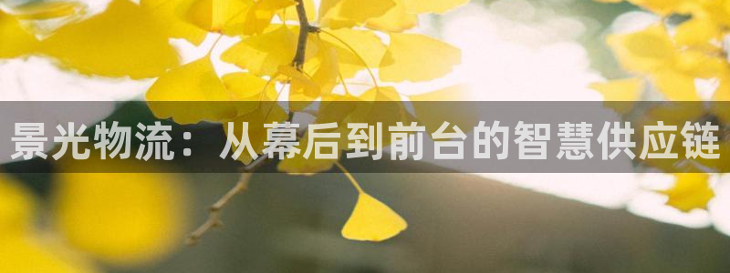 旺财28哪个最赚钱:景光物流:从幕后