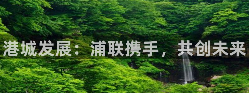 旺财28登录不上咋回事:港城发展:浦