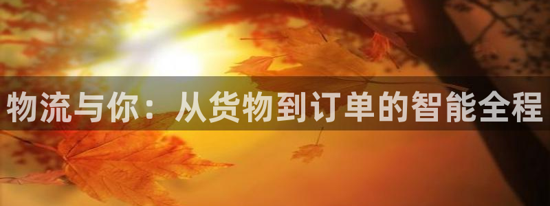 旺财28官网入口2024：物流与你：从货物到订单的智能全程