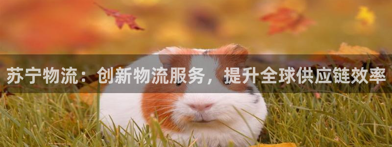 旺财28农业银行是狗卡吗