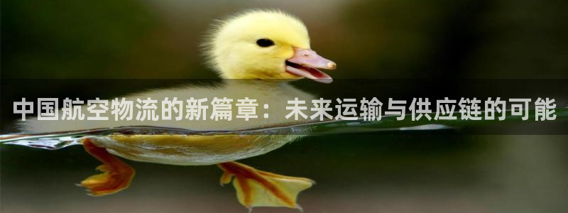 旺财28官方官网版：中国航空物流的新