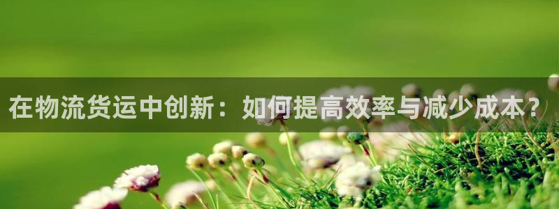 旺财28ip被限制怎么解决：在物流货运中创新：如何提高效率与