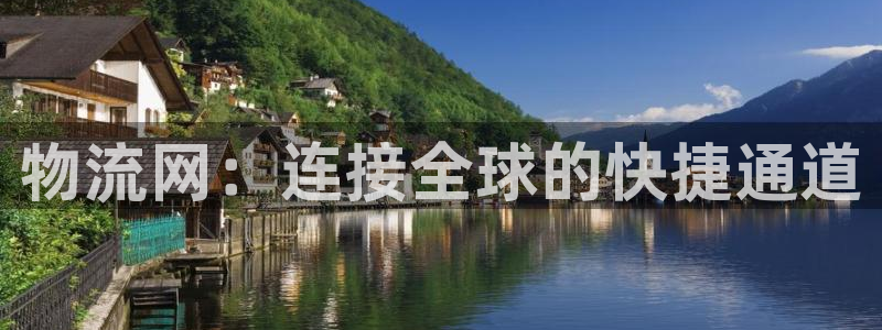 旺财28是干嘛的：物流网：连接全球的