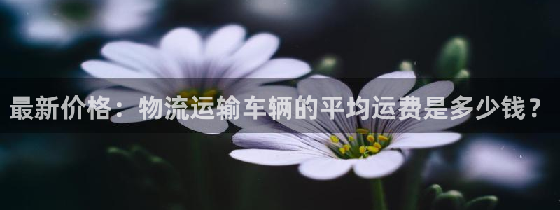 旺财28在线预测官网：最新价格：物流