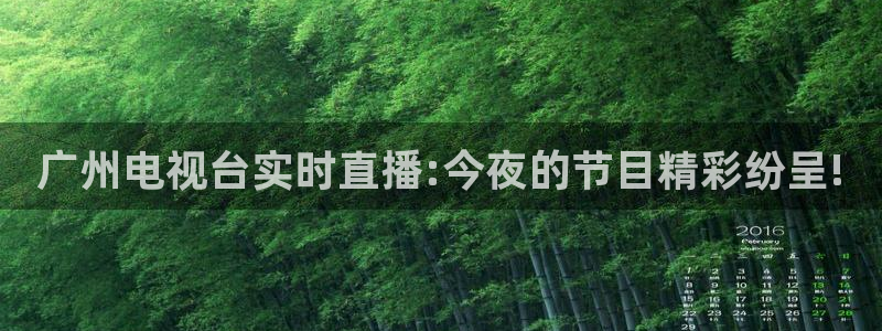 857直播nba：广州电视台实时直播:今夜的节目精彩纷呈!